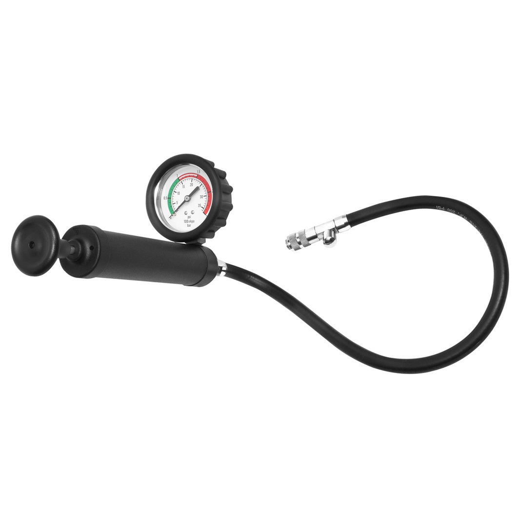 Toledo Pump With Hose/Gauge